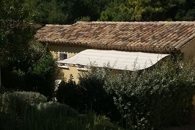 Wunderschöne Wohnung in Montauroux mit Pool