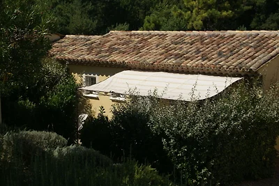 Wunderschöne Wohnung in Montauroux mit Pool
