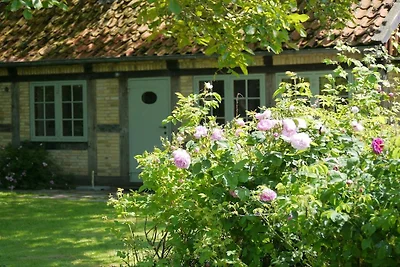 Lütt Arnis - Butterhaus