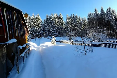 Au tremplin de saut à ski des monts...