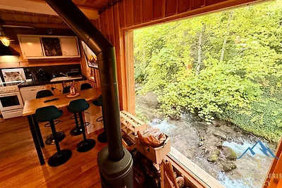 Haus in Mont-Dore mit Skibus und Fluss