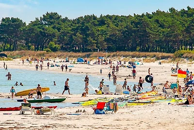 Strandparadies mit Pinien