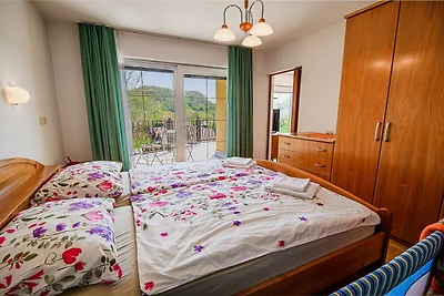 Sunny and Spacious Apartments with Terrace ne...