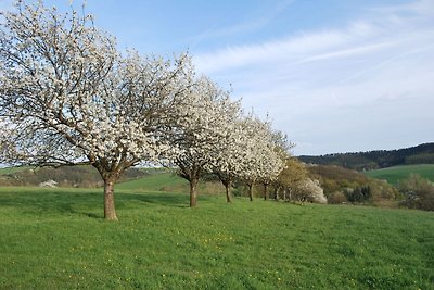 Caratteristico appartamento in Turingia con...