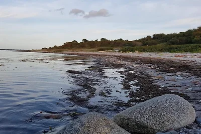5 Sterne Ferienhaus in Asnæs-By Traum