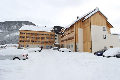 Luxus-Ferienwohnung in Skigebietsnähe in Gosa...