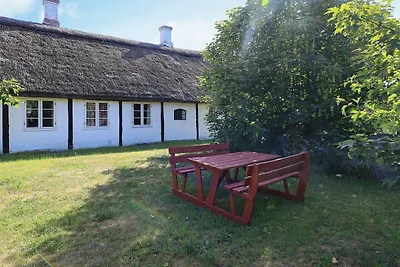 12 persoons vakantie huis in Læsø-By Traum