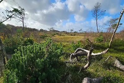 4 Sterne Ferienhaus in Harplinge