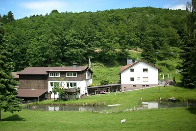 Wohnung in Bruchhausen mit Terrasse