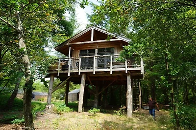 Ferienhaus Erholungsurlaub De Wolden