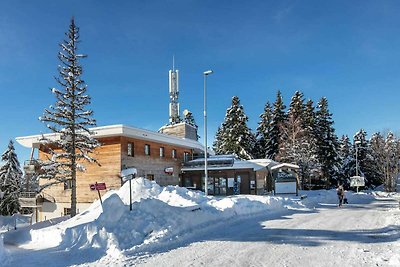 Bergwohnung in Chamrousse