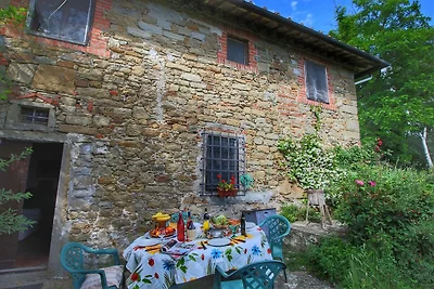 Luxuriöses Bauernhaus in Rufina mit Terrasse