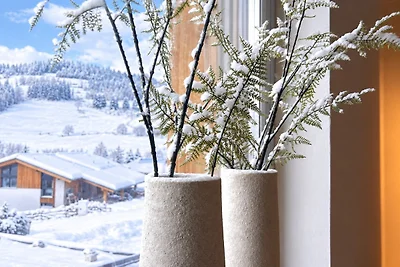 Modernes Ferienhaus mit Sauna