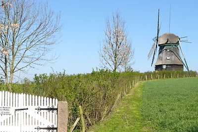 Schöne authentische Mühle nahe am Meer