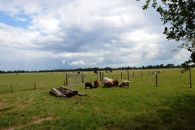 Gemütlicher Bauernhof in Waspe in Waldnähe