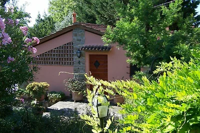 Graziosa casa vacanze in riva al lago