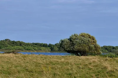 8 Personen Ferienhaus in Ebeltoft