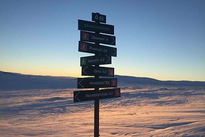 4 Personen Ferienhaus in GEILO