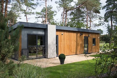 Modern chalet bij Nationaal Park De Veluwe