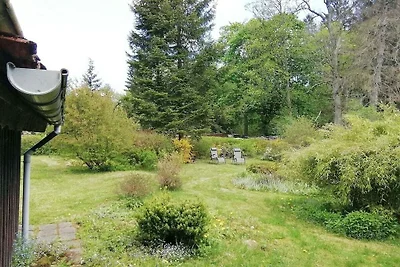 Vakantiehuis aan de rivier