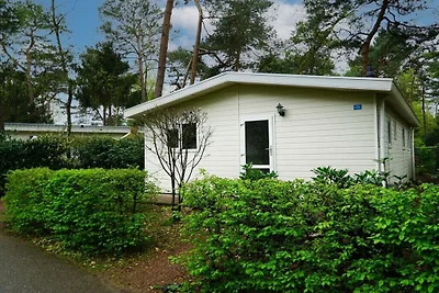 Ferienhaus in Beekbergen mit Terrasse