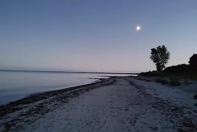 12 Personen Ferienhaus in Væggerløse