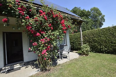 Malerische Ferienwohnung in Neubukow mit...