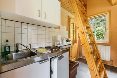 Ferienhaus mit Schwimmbad in Jägersgrün