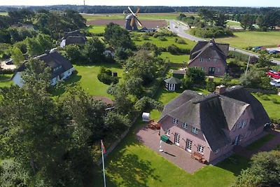 Ferienhaus in Nebel mit Schwimmbecken