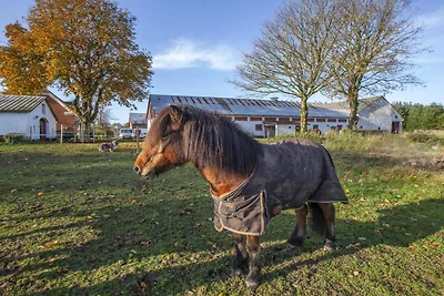 4 sterren vakantie huis in Dybvad