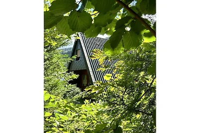 A-vormig vakantiehuis / hut in Finse stijl...