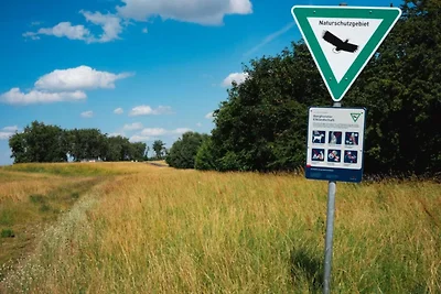 In de regio (zomer) (>5 km) In de regio (zomer) (>5 km)