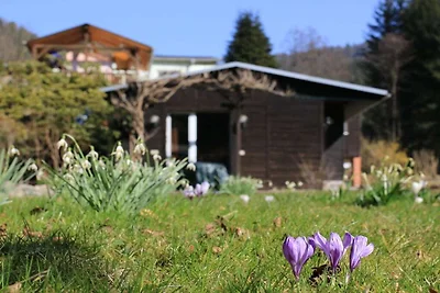 Kuća za odmor Dopust za oporavak Porschdorf