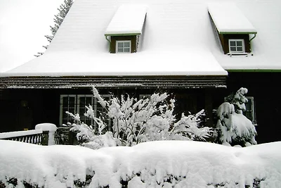 Ferienhaus mit 1 Schlafzimmer