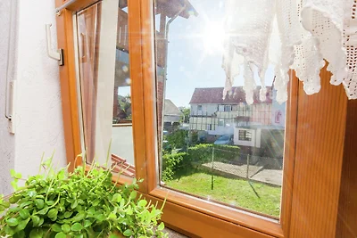 Wohnung in Densberg mit Waldnähe