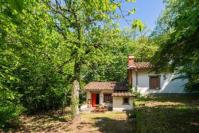 Nice Holiday Home in Migliorini -Pistoia with...