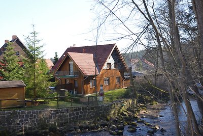 Gemütliches Ferienhaus im Harz mit eigener...