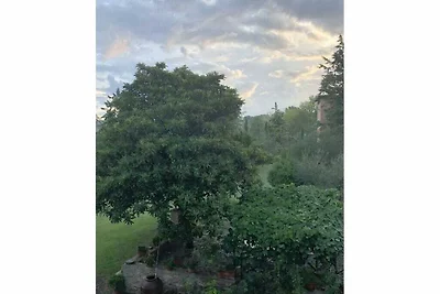 Casa La Fonte - Olivastra