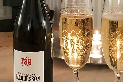 6 Personen Ferienhaus in Idestrup