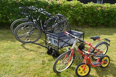 Ferienhaus mit 3 Schlafzimmer