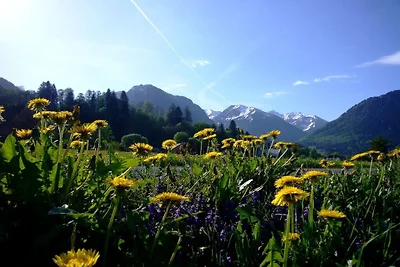 Alpenflair Ferienwohnung 401