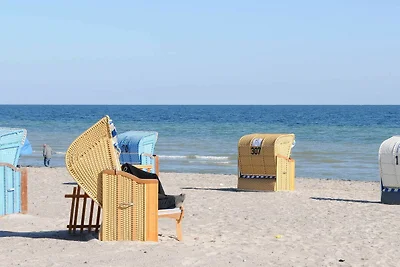 6 Personen Ferienhaus in Großenbrode