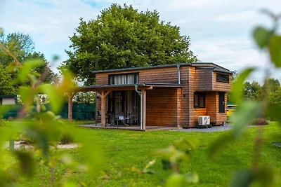 Ferienhaus in Kaatsheuvel mit Terrasse