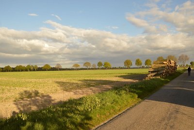 Vrijstaand vakantiehuis met omheinde tuin