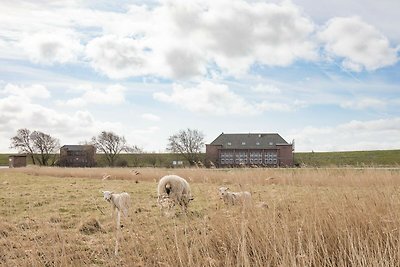 Exclusief appartement op dijk aan de Noordzee