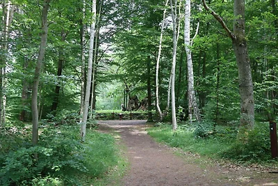 7 Personen Ferienhaus in Jægerspris-By Traum