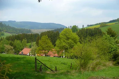 Ferienhaus im Sauerland nahe Skipisten