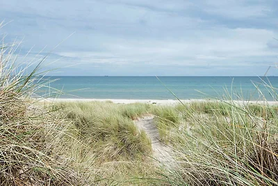 8 Personen Ferienhaus in Ålbæk-By Traum