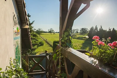 Stein - Wohnung Storchenblick
