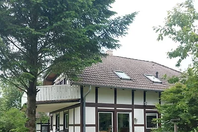 Wohnung in Frankenau mit Schwimmbecken